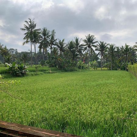 Adi Laxmi Villa Ubud Eksteriør bilde