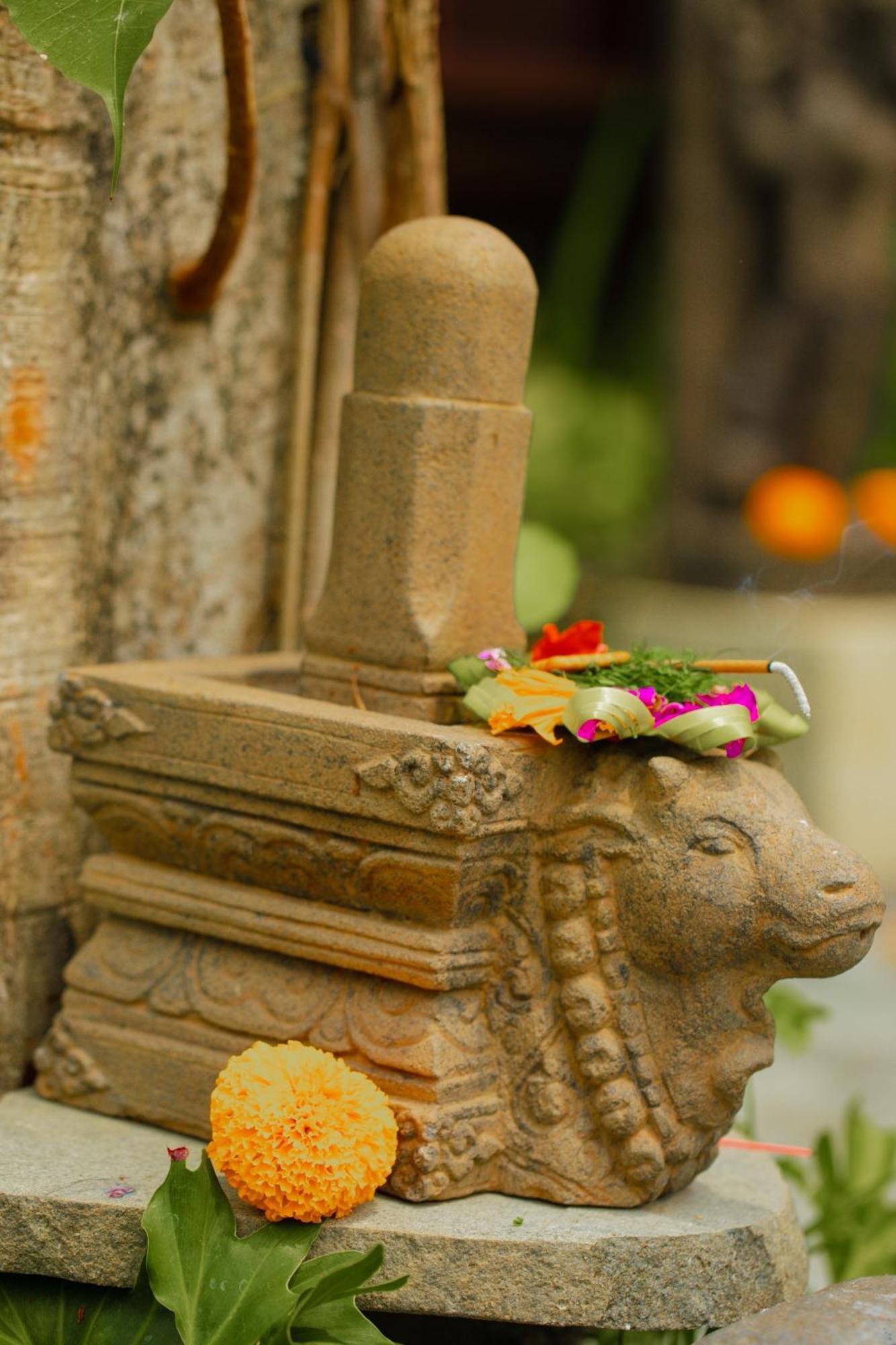 Adi Laxmi Villa Ubud Eksteriør bilde