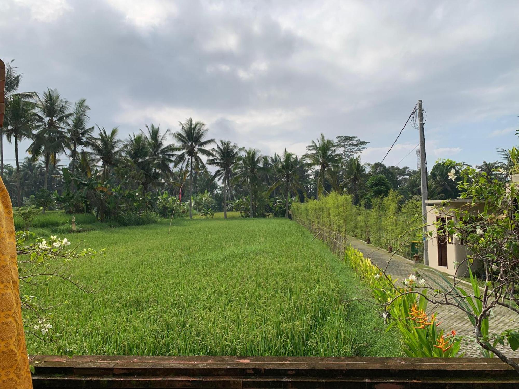 Adi Laxmi Villa Ubud Eksteriør bilde